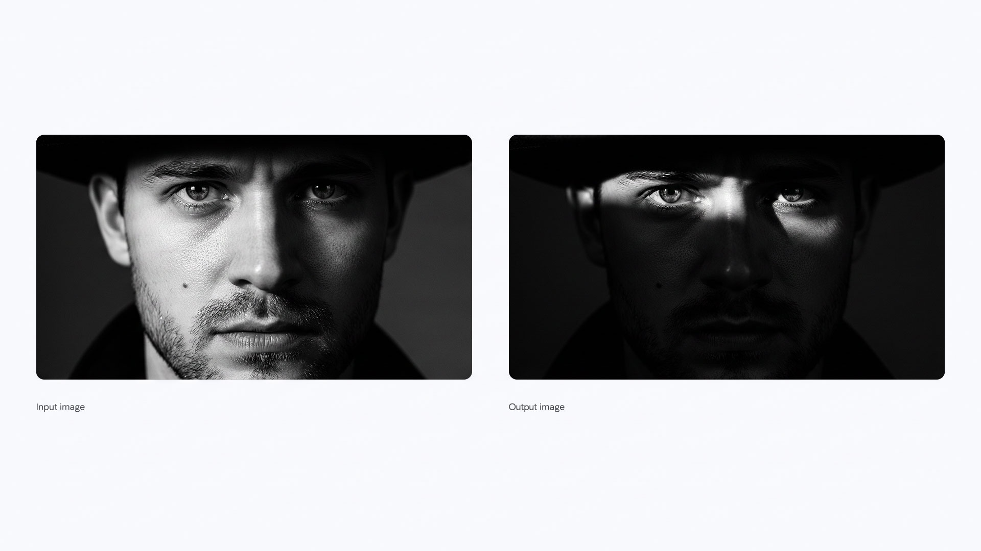 Studio Quality Portrait